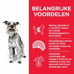 Hill's Science Plan Mature Adult Light Small & Mini Met Kip -Hunter Verkoop 2024 atf12 604338 packaging transition 8