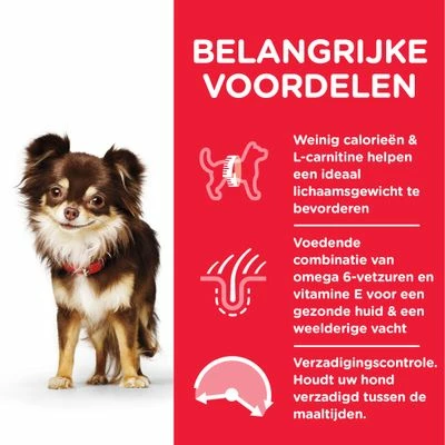 Hill's Science Plan Adult Light Small & Mini Met Kip 7 Hill's Science Plan Adult Light Small & Mini Met Kip - Afbeelding 5