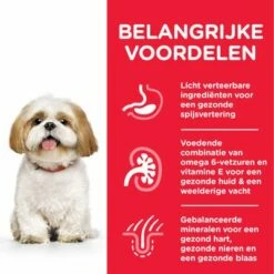 Hill's Science Plan Mature Adult Small & Mini Met Kip 10 Hill's Science Plan Mature Adult Small & Mini Met Kip -Hunter Verkoop 2024 atf8 604343 key benefits 5