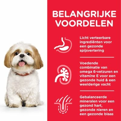 Hill's Science Plan Mature Adult Small & Mini Met Kip 6 Hill's Science Plan Mature Adult Small & Mini Met Kip - Afbeelding 4