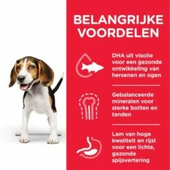 Hill's Science Plan Puppy <1 Medium Met Lam & Rijst -Hunter Verkoop 2024 atf8 604353 key benefits 4