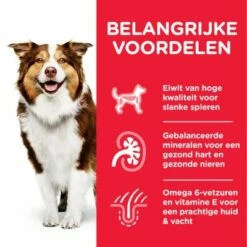 Hill's Science Plan Mature Adult Medium Met Kip 10 Hill's Science Plan Mature Adult Medium Met Kip -Hunter Verkoop 2024 atf8 604378 key benefits 4