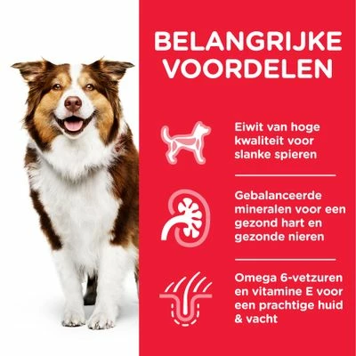 Hill's Science Plan Mature Adult Medium Met Kip 6 Hill's Science Plan Mature Adult Medium Met Kip - Afbeelding 4