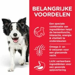 Hill's Science Plan Adult 7+ Senior Vitality Medium Met Kip -Hunter Verkoop 2024 atf8 604384 key benefits 0