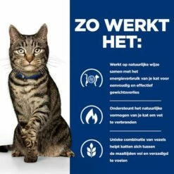 Hill´s Prescription Diet Feline Metabolic Weight Management Kattenvoer Met Kip 12 Hill´s Prescription Diet Feline Metabolic Weight Management Kattenvoer Met Kip -Hunter Verkoop 2024 atf 605610 how it works 9