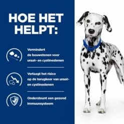Hill's Prescription Diet Canine U/D Nierziektes/Struviet Hondenvoer Original -Hunter Verkoop 2024 atf 605632 how it helps 6