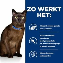 Hill's Prescription Diet Feline M/D Diabetes/Low Fat Kattenvoer Met Kip -Hunter Verkoop 2024 atf 605661 how it works 9