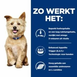 Hill's Prescription Diet Canine K/D Kidney Care Hondenvoer Met Kip -Hunter Verkoop 2024 atf 605672 how it works 3
