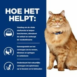 Hill's Prescription Diet Feline K/D +Mobility Kattenvoer Met Kip -Hunter Verkoop 2024 atf 605680 how it helps 9