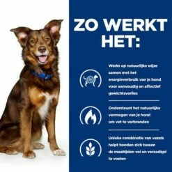 Hill's Prescription Diet Canine Metabolic Hondenvoer Met Kip -Hunter Verkoop 2024 atf 605944 how it works 8