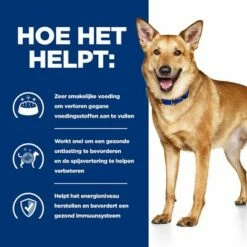Hill's Prescription Diet Canine I/D Digestive Care Hondenvoer Met Kalkoen -Hunter Verkoop 2024 atf 606447 how it helps 2