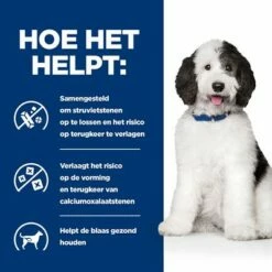 Hill's Prescription Diet Canine C/D Urinewegen Hondenvoer Met Kip -Hunter Verkoop 2024 atf 607025 how it helps 8