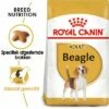 Royal Canin Beagle Adult Hondenvoer -Hunter Verkoop 2024 bhn beagle rc bhn beagle mv eretailkit nl nl 0