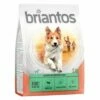 Briantos Adult Sensitive Lam & Rijst Hondenvoer -Hunter Verkoop 2024 briantos c 1kg adult sensitive 2022 1000x1000 4