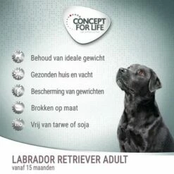 Concept For Life Labrador Retriever Adult Hondenvoer -Hunter Verkoop 2024 cfl board dog labradorretrieveradult 3