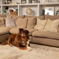 Pet Head Sensitive Soul -Hunter Verkoop 2024 companyofanimals pethead sensitivesoul set3teilig hs 08 9