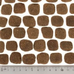 Wolf Of Wilderness - The Taste Of Scandinavia 15 Wolf Of Wilderness - The Taste Of Scandinavia -Hunter Verkoop 2024 dsc2637 5