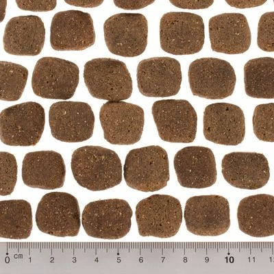 Wolf Of Wilderness - The Taste Of Scandinavia 7 Wolf Of Wilderness - The Taste Of Scandinavia - Afbeelding 5