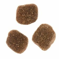 Wolf Of Wilderness - The Taste Of The Mediterranean Hondenvoer -Hunter Verkoop 2024 dsc2639 2