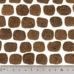 Wolf Of Wilderness - The Taste Of The Mediterranean Hondenvoer -Hunter Verkoop 2024 dsc2642 0