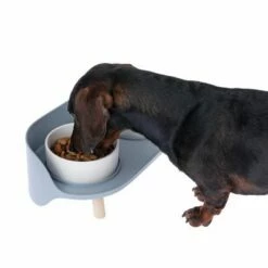 TIAKI Keramische Voerbak Duo -Hunter Verkoop 2024 dsc6184 0