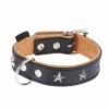 Heim Leren Halsband Stars -Hunter Verkoop 2024 dsc9109 4