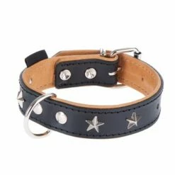 Heim Leren Halsband Stars