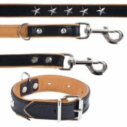 Heim Set: Hondenriem Stars + Leren Halsband Stars -Hunter Verkoop 2024 dsc9127 2 7