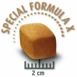 Concept For Life Golden Retriever Adult Hondenvoer -Hunter Verkoop 2024 golden retriever krokette 9