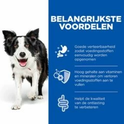Hill's Prescription Diet Canine I/D Digestive Care Hondenvoer Met Kip -Hunter Verkoop 2024 h197442 p371415 hills pd activbiome ecom handover thumbnails id dog benfits nl nl 1 2