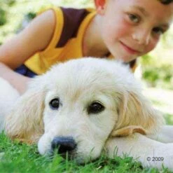 Happy Dog Supreme Mini Baby & Junior Hondenvoer -Hunter Verkoop 2024 hd hund5 1 9