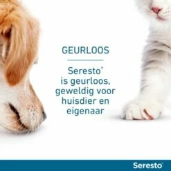 Seresto Vlooien- En Tekenband Voor Grote Honden (> 8 Kg) -Hunter Verkoop 2024 image 79 4