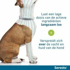 Seresto Vlooien- En Tekenband Voor Grote Honden (> 8 Kg) -Hunter Verkoop 2024 image 93 2