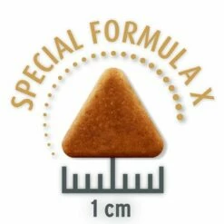 Concept For Life Indoor Cats -Hunter Verkoop 2024 indoor opt copy 6