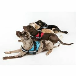 Julius K9 JULIUS-K9® Hondentuig - Rood -Hunter Verkoop 2024 juliusk9 powergeschirr 4 farben 4