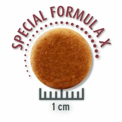 Concept For Life Maine Coon Adult Kattenvoer - Verbeterde Receptuur! 4 Concept For Life Maine Coon Adult Kattenvoer - Verbeterde Receptuur! - Afbeelding 2