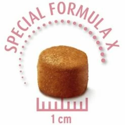 Concept For Life Maine Coon Kitten - Verbeterde Receptuur! -Hunter Verkoop 2024 krokette maine coon kitten ohne schatten 3