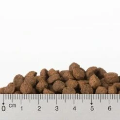 Gemengd Probeerpakket Purizon Adult Kattenvoer -Hunter Verkoop 2024 kroketten huhn mit fisch 3