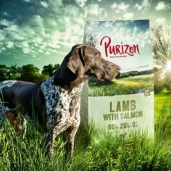 Purizon Lam Met Zalm Adult - Graanvrij Hondenvoer -Hunter Verkoop 2024 lamb 4