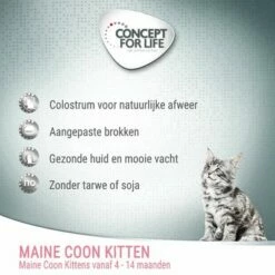 Concept For Life Maine Coon Kitten - Verbeterde Receptuur! -Hunter Verkoop 2024 maine coon kitten 7