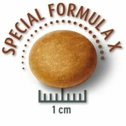 Concept For Life Medium Senior Hondenvoer -Hunter Verkoop 2024 mediumsenior krokette 2