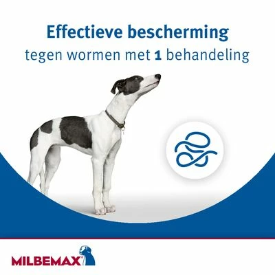 Milbemax Kauwtabletten Voor Honden 7 Milbemax Kauwtabletten Voor Honden - Afbeelding 5