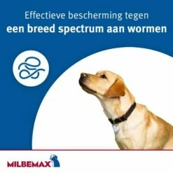 Milbemax Kauwtabletten Voor Honden 15 Milbemax Kauwtabletten Voor Honden -Hunter Verkoop 2024 milbemax 3 4