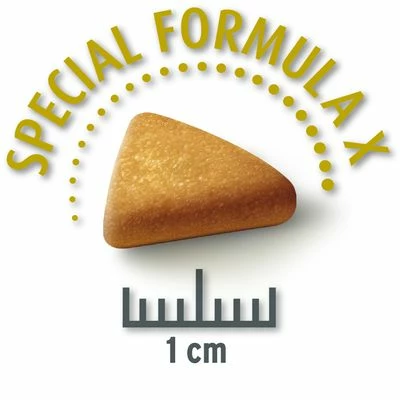 Concept For Life Mini Senior Hondenvoer 5 Concept For Life Mini Senior Hondenvoer - Afbeelding 3