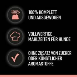 Cesar Selectie Vlees En Groente In Saus -Hunter Verkoop 2024 neues projekt 60 3