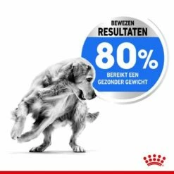 Royal Canin Medium Light Weight Care Hondenvoer 10 Royal Canin Medium Light Weight Care Hondenvoer -Hunter Verkoop 2024 optimized rc spt dry lightweightmed cv 2 nl nl 6