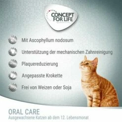 Concept For Life Oral Care -Hunter Verkoop 2024 oral care 0