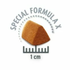 Concept For Life Oral Care -Hunter Verkoop 2024 oralcare krokette 1000x1000px 0