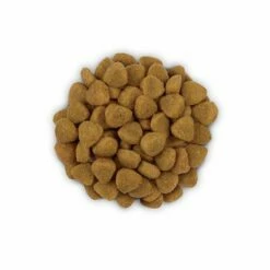 Hill´s Prescription Diet D/D Allergy & Skin Care Kattenvoer Met Eend En Groene Erwten 12 Hill´s Prescription Diet D/D Allergy & Skin Care Kattenvoer Met Eend En Groene Erwten -Hunter Verkoop 2024 pd dd feline pile 1000x1000px 7