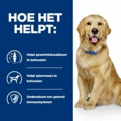 Hill's Prescription Diet Canine J/D Reduced Calorie Hondenvoer Met Kip 16 Hill's Prescription Diet Canine J/D Reduced Calorie Hondenvoer Met Kip -Hunter Verkoop 2024 pd jd dog bk25363m bk30425 6139n how helps 7